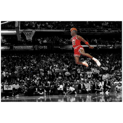 Michael jordan chicago bulls - michael,