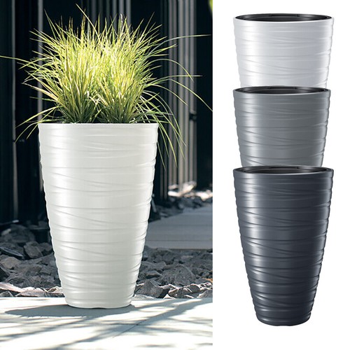 Round tall plant - plant, pot
