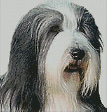 Bearded Collie Counted Cross