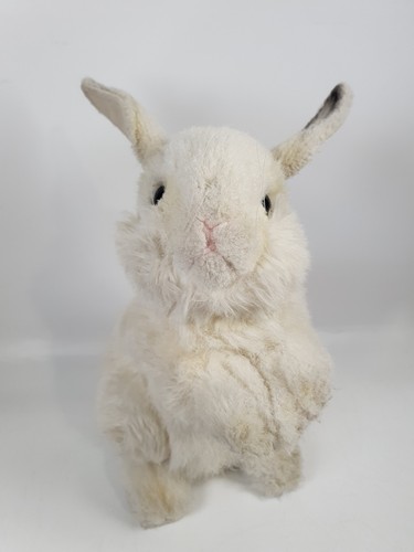 Hansa white rabbit - white,
