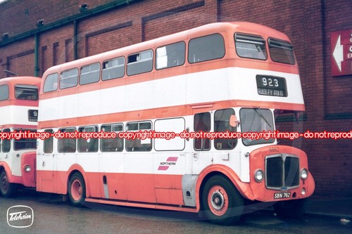 Bus photo selnec northern - bus,