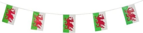 Welsh rectangle bunting - rectangle,