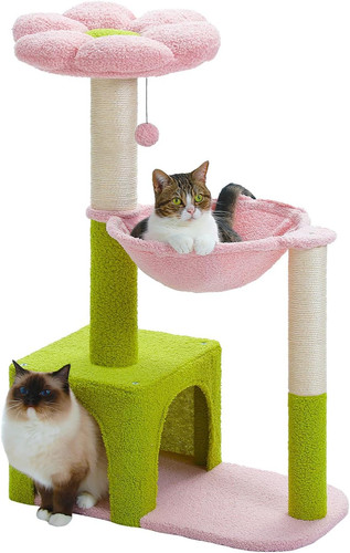 Muttros flower cat - cat, with