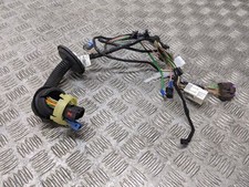 PEUGEOT 206CC 2002 DOOR WIRING LOOM (FRONT DRIVERS SIDE) 9645931980