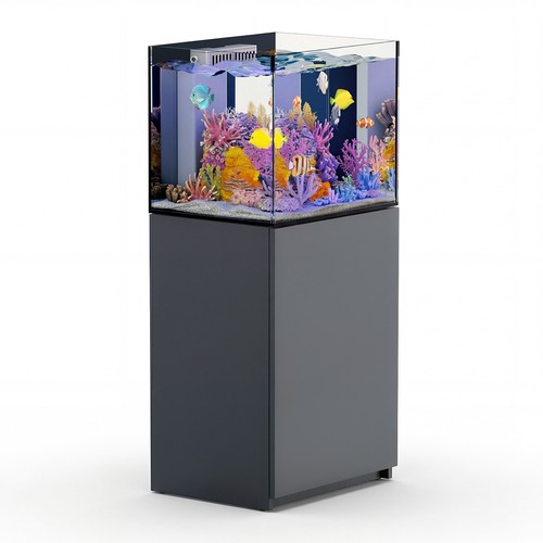 Gallon coral reef - 50, aquarium