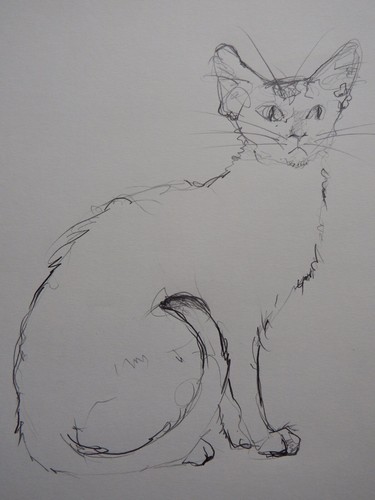 Pencil drawing cat sitting