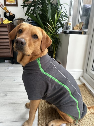 Ruffwear dog climate - ruffwear,