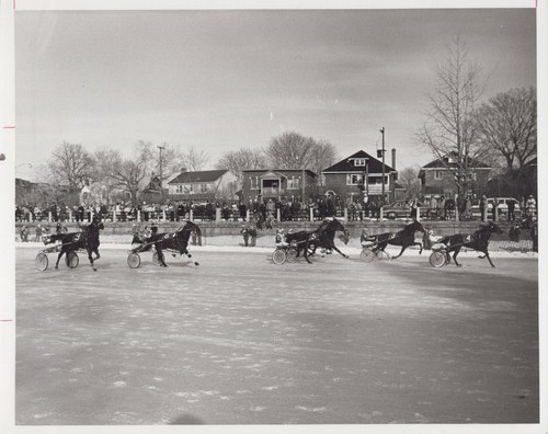 Gamie kay winter harness - winter, race
