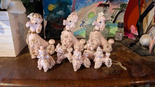 Selection pink poodles dog - pink,