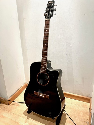 Washburn d10 sceb - washburn,