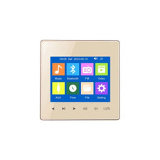 Wall Amplifier Bluetooth5.0 TF