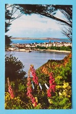 Vintage Postcard Unposted