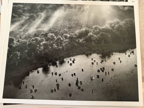 Sebastião salgado genesis - salgado,