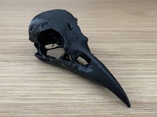 Black Replica Crow Skull Halloween Decoration Rustic Crow Head Taxidermy Oddity