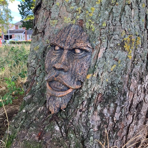 Green man tree spirit garden - man,
