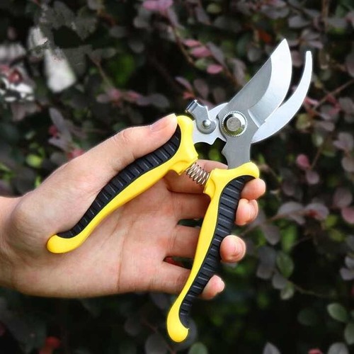 Garden pruning shears - garden,