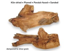 2 Alder Tree Root Wood Slices
