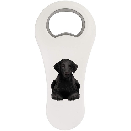 Curly coated retriever - 'curly,