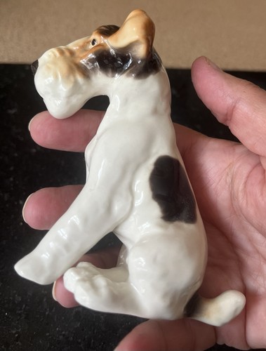 Wire haired fox terrier - wire,