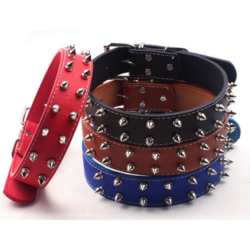 Punk style dog - punk,