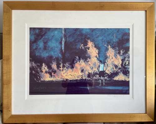 Rolf harris framed limited - harris,