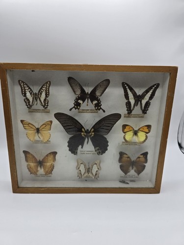 Vintage collectable framed - vintage,