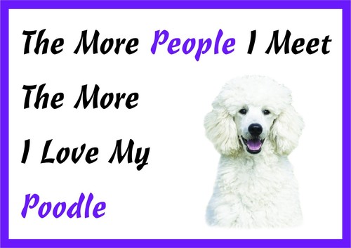The more love white - more,