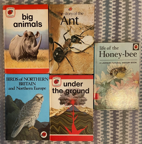 Vintage ladybird books bundle - vintage,