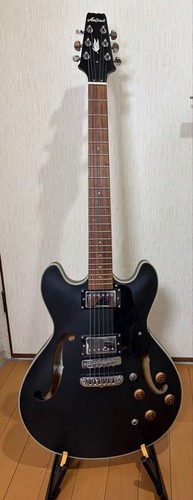 Aria pro semi acoustic - pro, ii