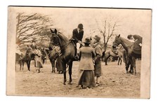 Fox Hounds English Hunt Meet Horses Riding Habit Real Photo RPPC Postcard 1920 A