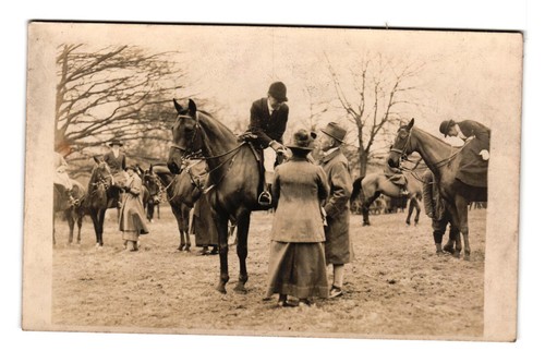 Fox hounds english hunt meet - fox,