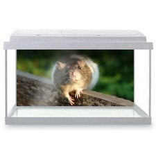 Fish Tank Background 90x45cm -