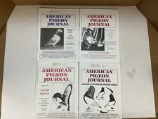 4 Issues Of American Pigeon