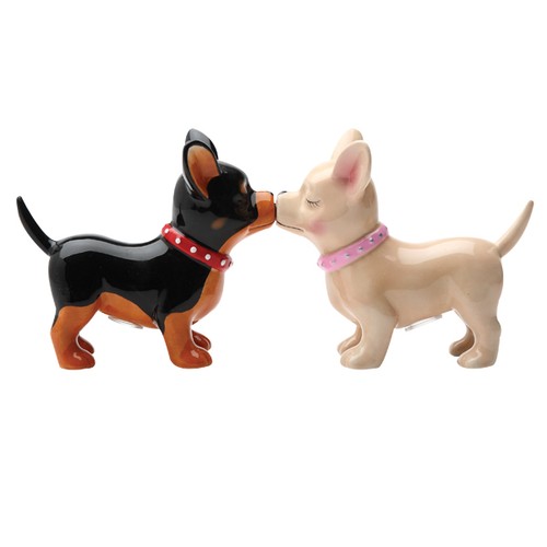 Chihuahua pups dog salt - pups, and