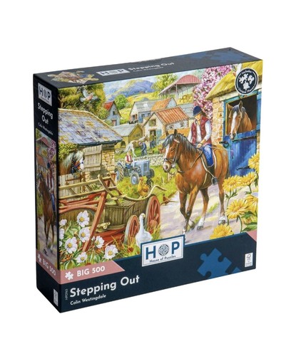 House puzzles big 500 - house,