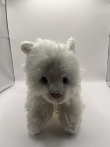 Animal alley white cat kitten