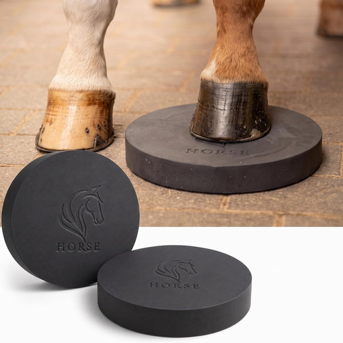 Balance pad horse - horse, training