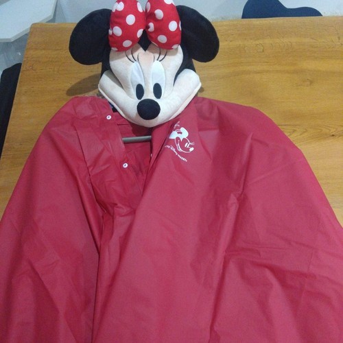 Tokyo disney resort minnie - disney,