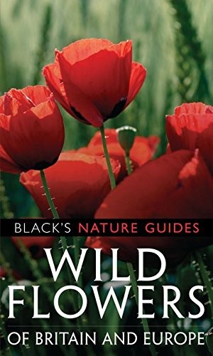 Wild flowers britain - wild,