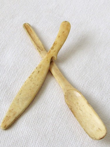 19th century bovine bone - bovine,