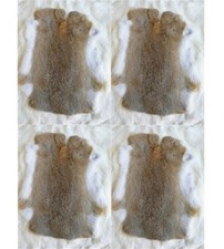 3/4PCS Real Rabbit Skin Pelts