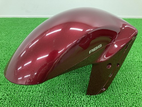 R1400 front fender - zz-r1400,