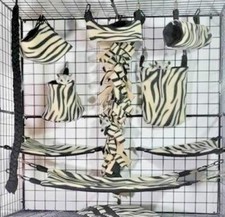 Carmel Zebra*Sugar Glider Cage