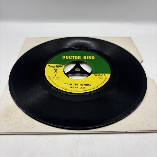 The gaylads vinyl record - the,