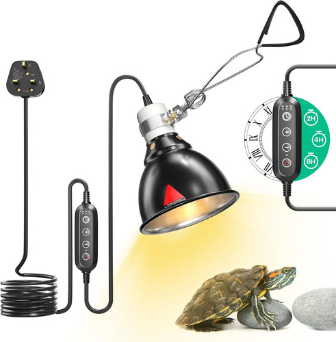Reptile heat lamp - reptile,