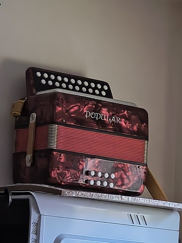 Accordion delecia popular - accordion,