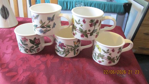 Vintage portmeirion - x,