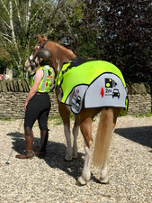 EvoEquine Hi Viz Airtex Summer
