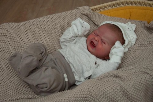 19inch reborn doll - reborn,