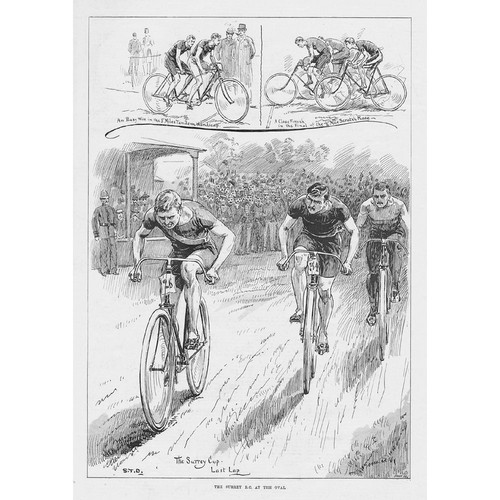 The surrey bicycle club - the,